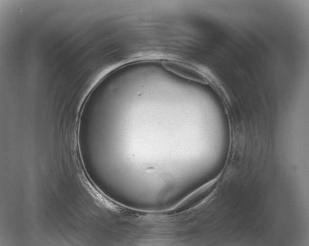 X0000080671244200612221108
