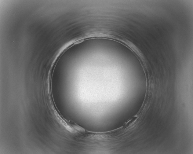 X0000080671246200612221108