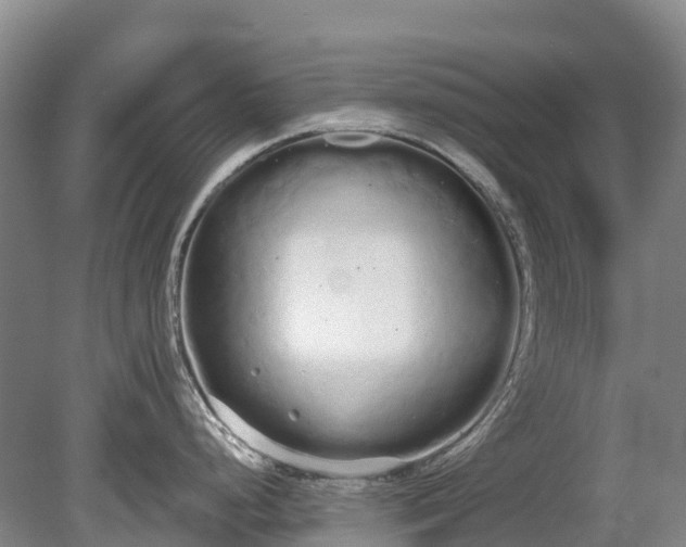 X0000080671248200612221108