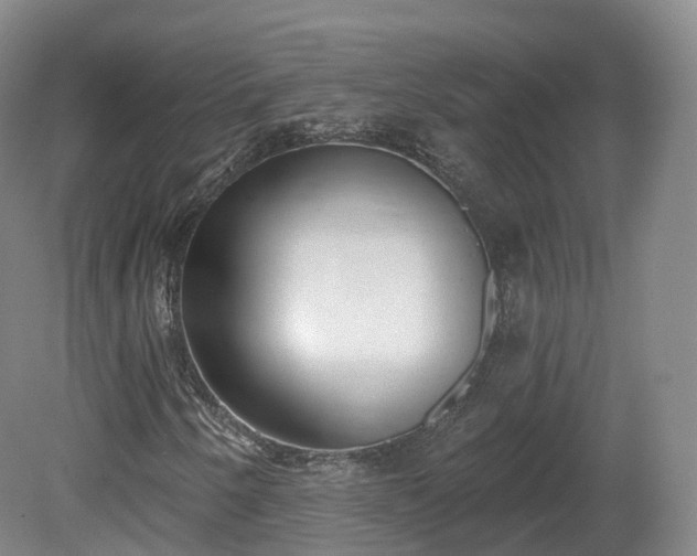 X0000080671250200612221108