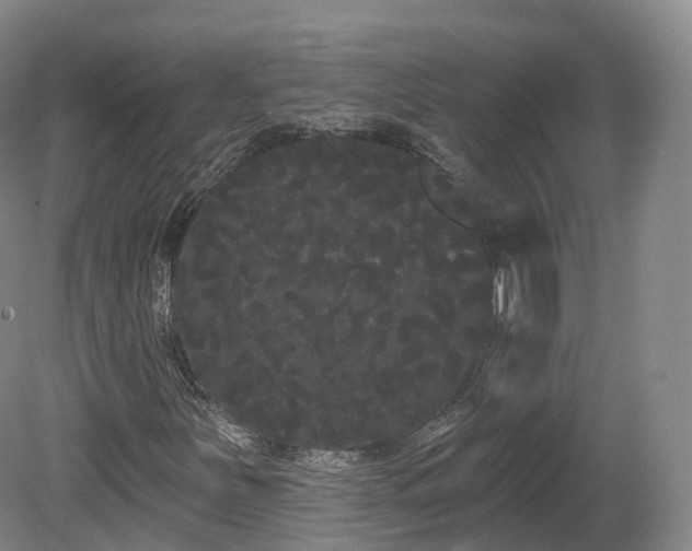 X0000080671251200612221108