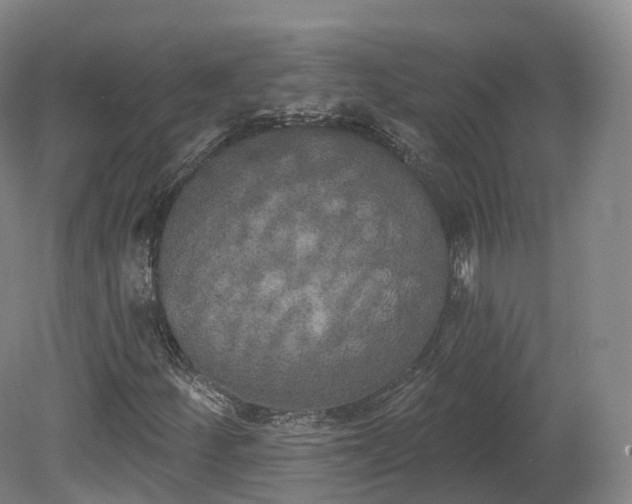 X0000080671252200612221108