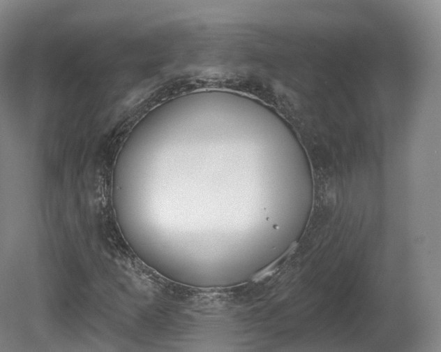 X0000080671253200612221108