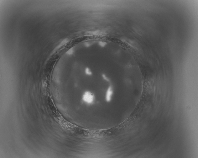X0000080671254200612221108