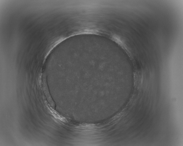 X0000080671260200612221107