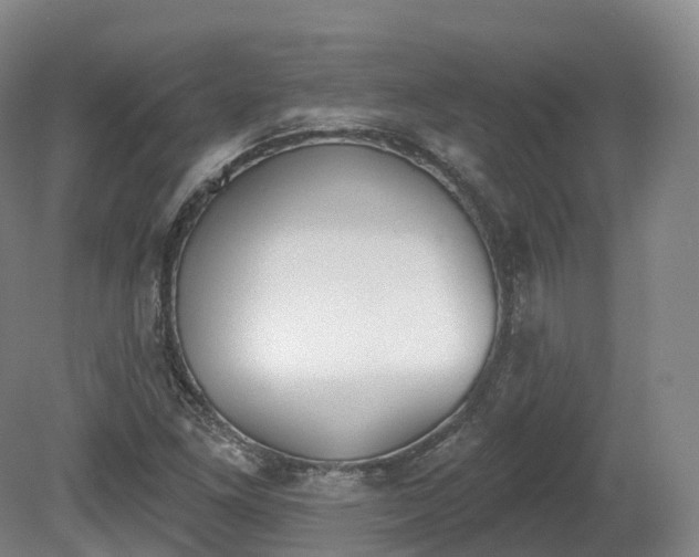 X0000080671261200612221107