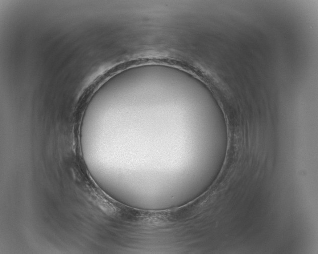 X0000080671262200612221107