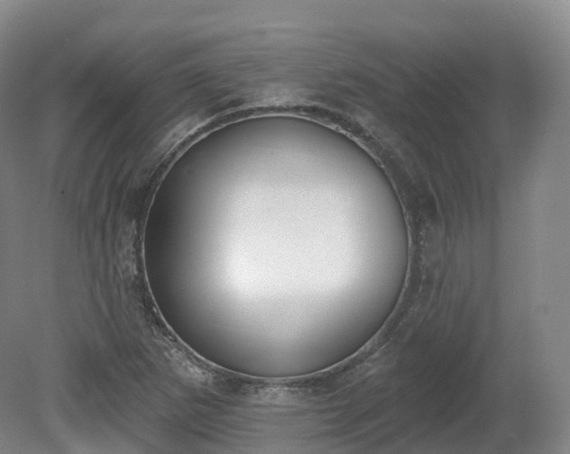 X0000080671265200612221107
