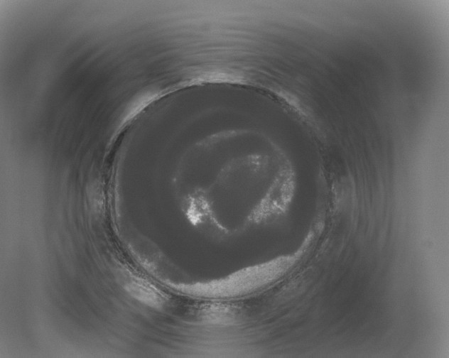 X0000080671266200612221107