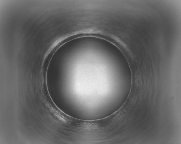 X0000080671270200612221107