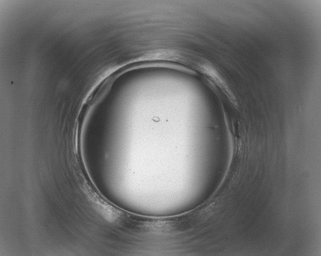 X0000080671276200612221107