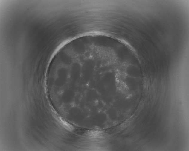 X0000080671278200612221107