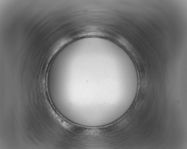 X0000080671282200612221107