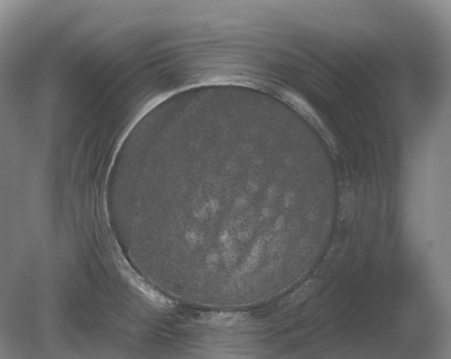 X0000080671284200612221107