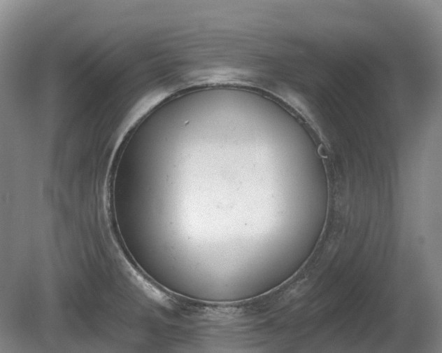 X0000080671285200612221107