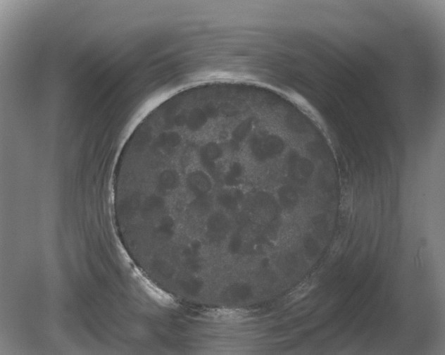 X0000080671287200612221107