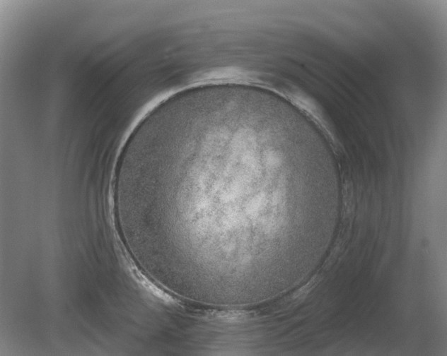 X0000080671288200612221107