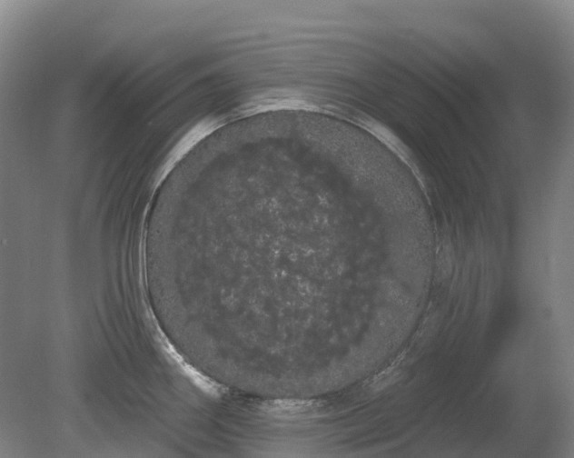 X0000080671290200612221107