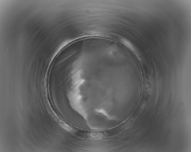 X0000080671291200612221107
