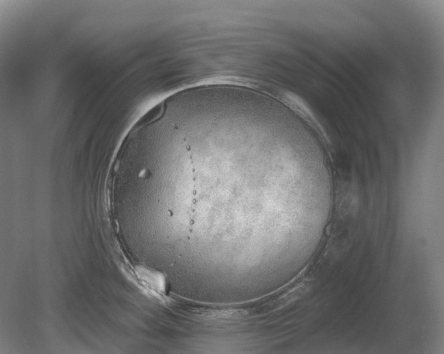 X0000080671292200612221107