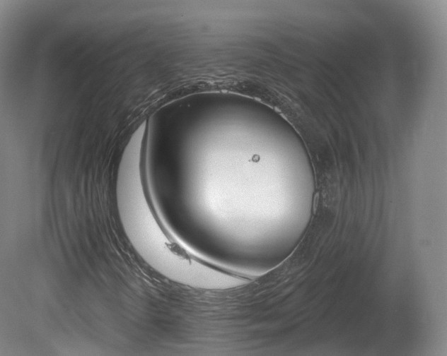 X0000080671298200612221106
