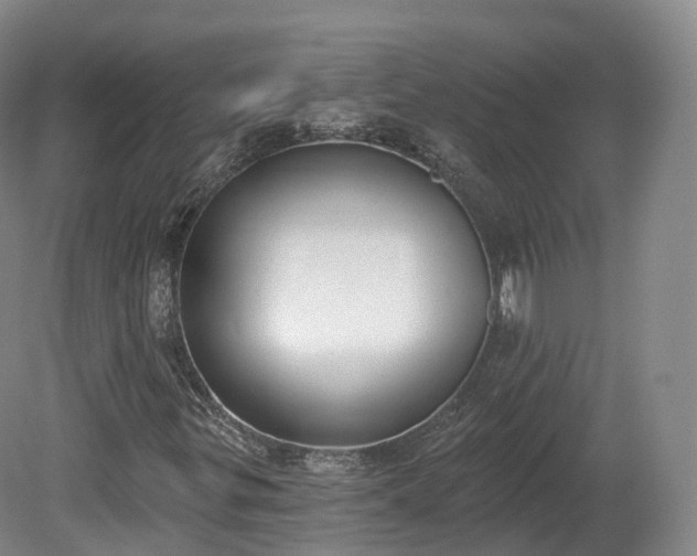 X0000080671299200612221106