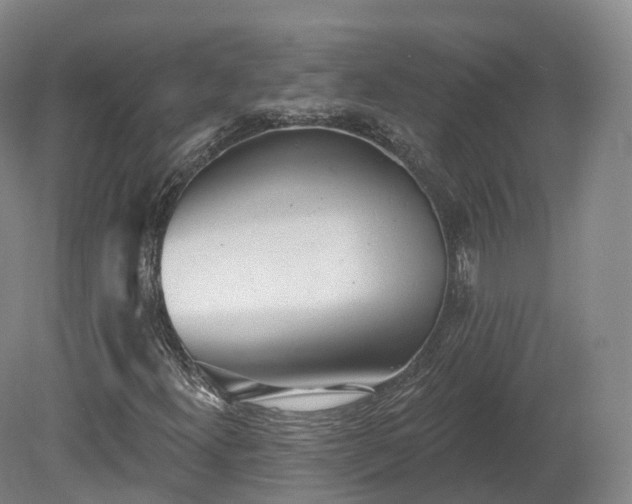 X0000080671300200612221106