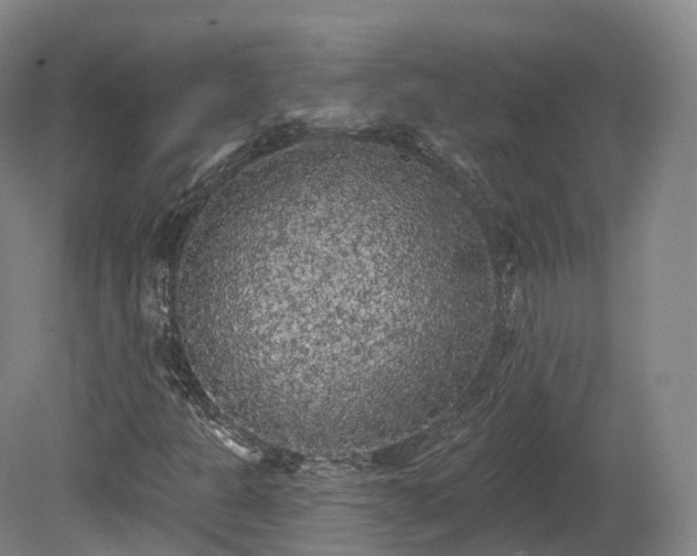 X0000080671301200612221106