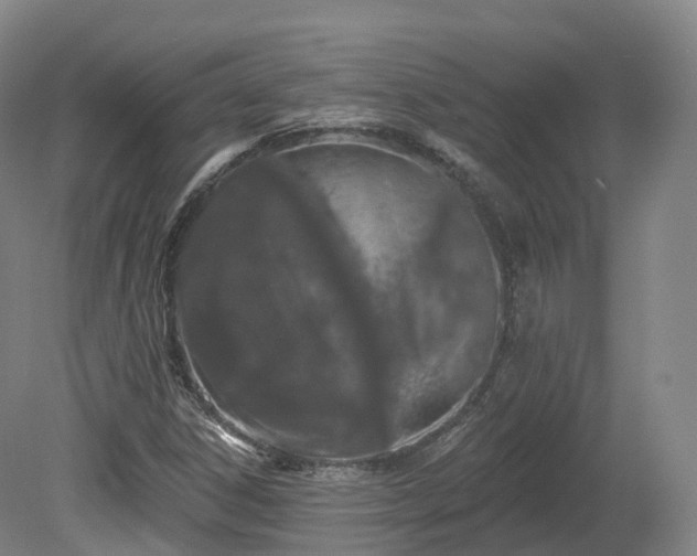 X0000080671306200612221106