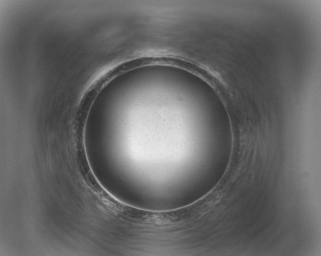 X0000080671311200612221106