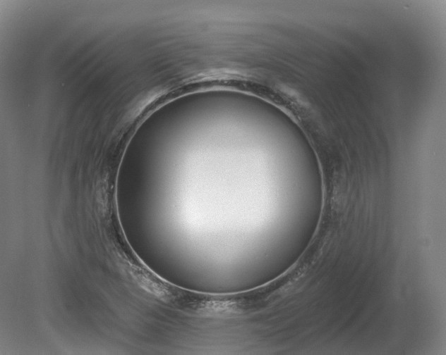 X0000080671313200612221106
