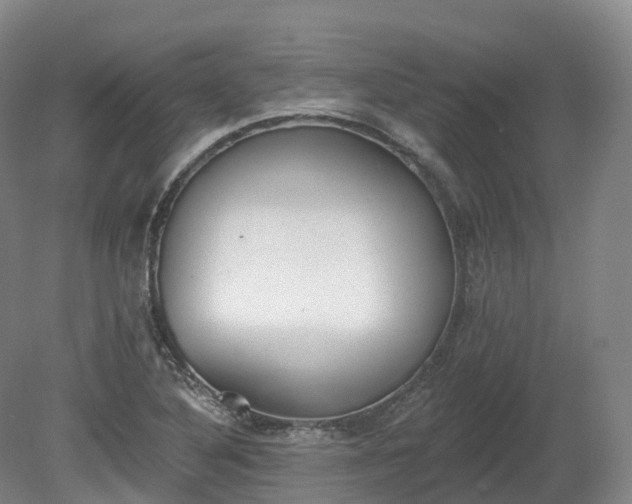 X0000080671316200612221106