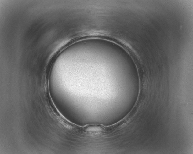 X0000080671317200612221106