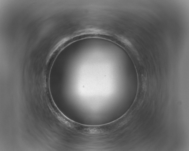 X0000080671318200612221106