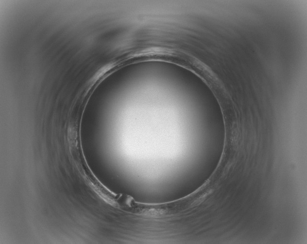 X0000080671321200612221106