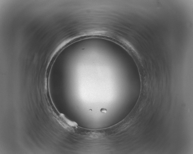 X0000080671324200612221107