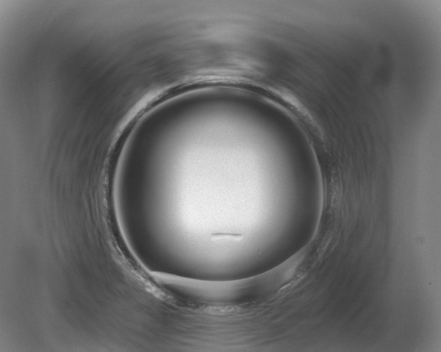 X0000080671325200612221107