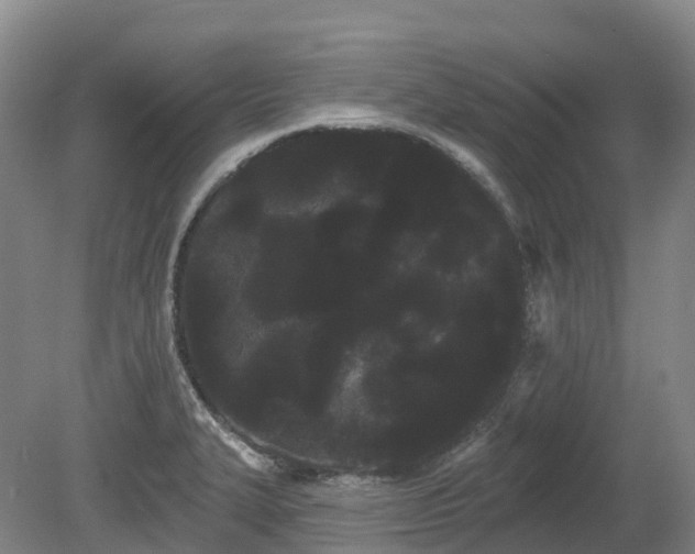 X0000080671327200612221107