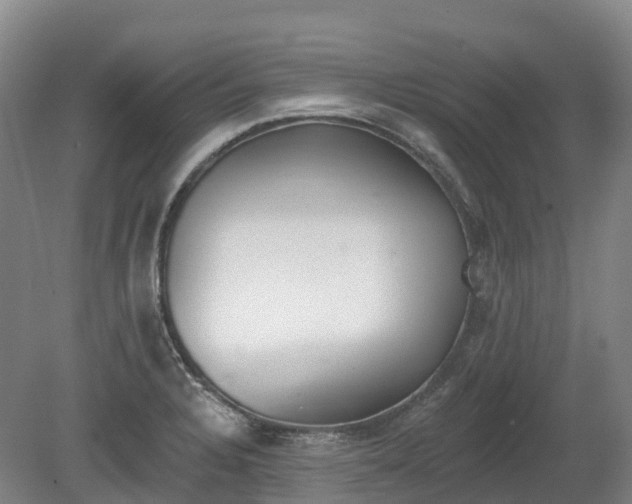 X0000080671328200612221107