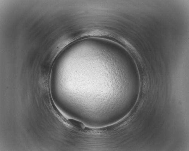 X0000080671329200612221107