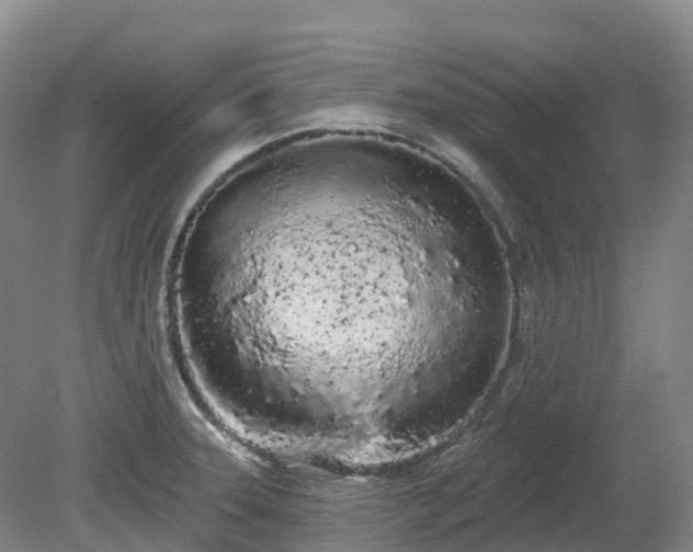 X0000080671331200612221107