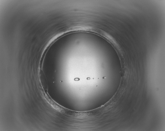 X0000080671332200612221107