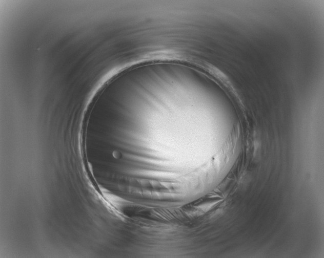 X0000080671334200612221107