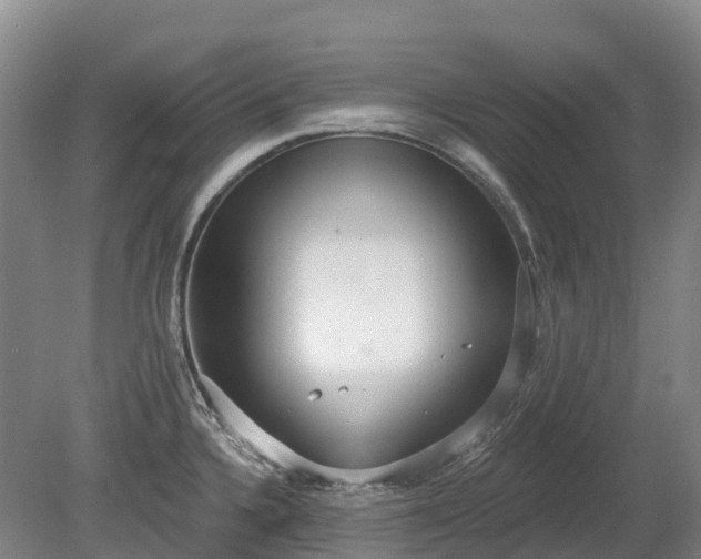 X0000080671336200612221107
