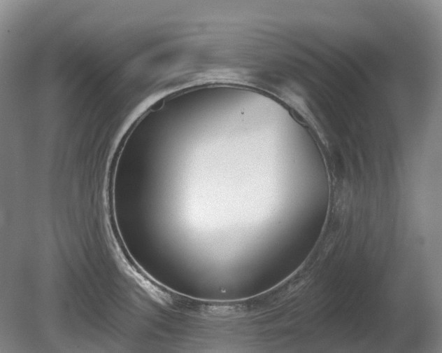 X0000080671339200612221107