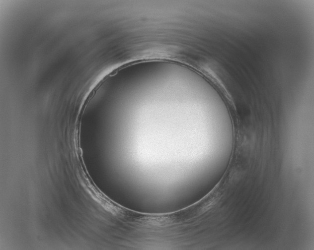 X0000080671340200612221107