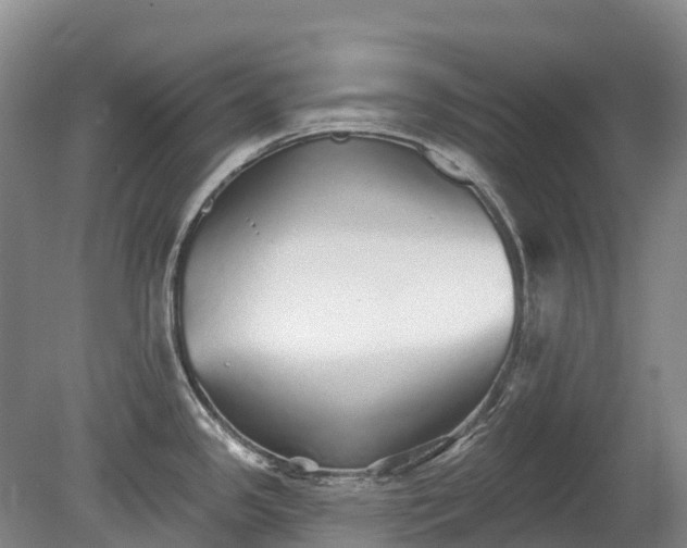 X0000080671341200612221107