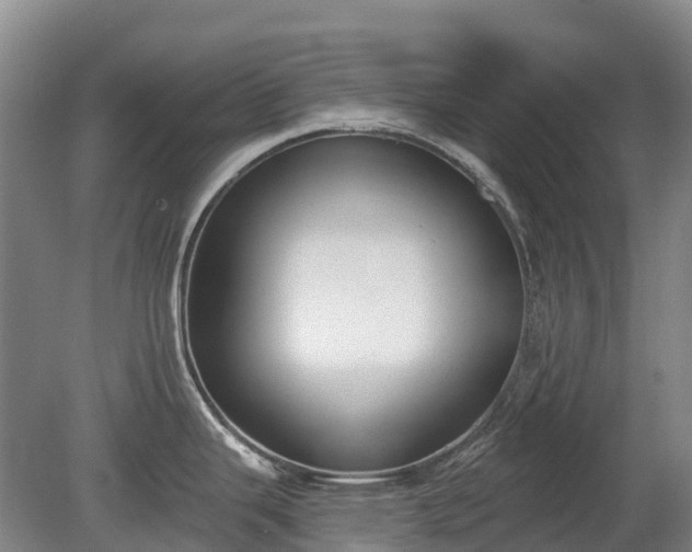 X0000080671343200612221107