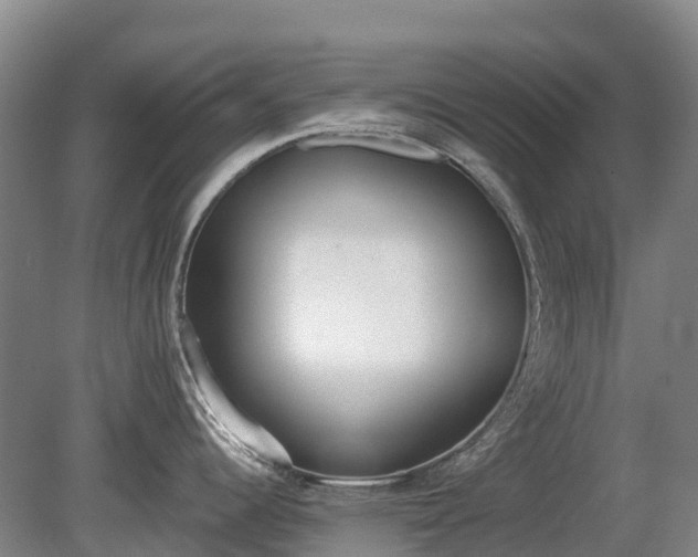 X0000080671344200612221107