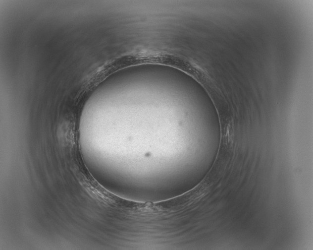 X0000080671348200612221106